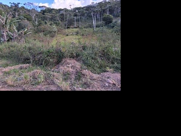 Terreno - Venda, FAZENDA ALPINA, TERESOPOLIS, RJ